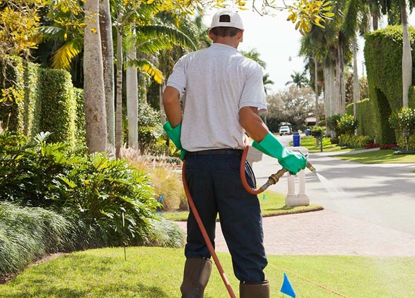 About Colebrook CT Pest Control